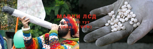 ПСИЛОЦИБИНОВЫЕ ГРИБЫ Новодвинск