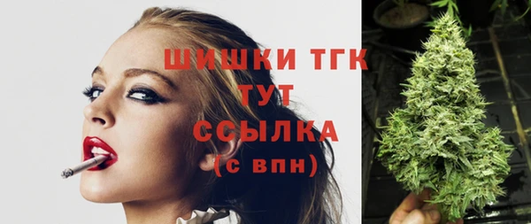 Альфа ПВП Новозыбков