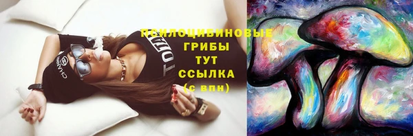 Альфа ПВП Гусиноозёрск