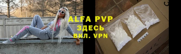 Альфа ПВП Гусиноозёрск