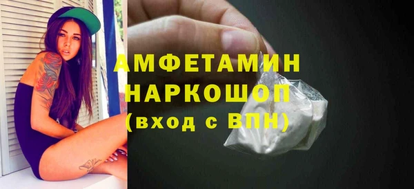 индика Гусев