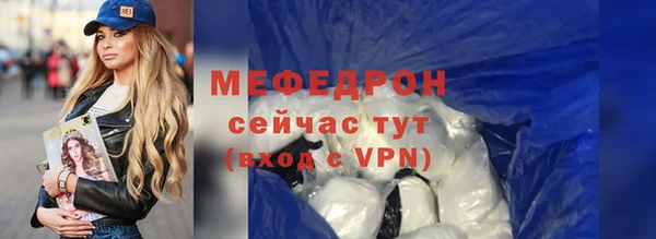 индика Гусев