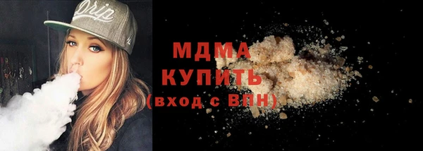 индика Гусев