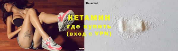 сатива Нефтекумск