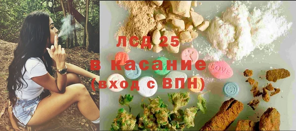 индика Гусев