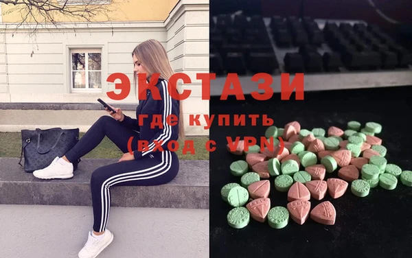 индика Гусев