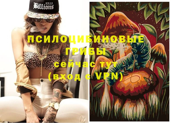 индика Гусев