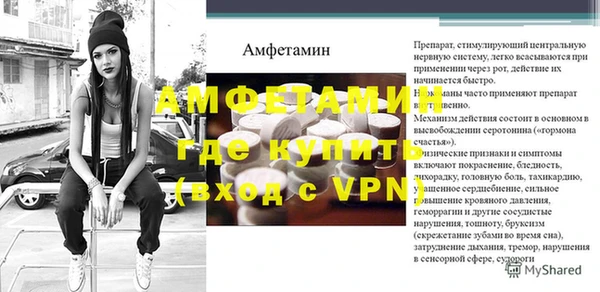 индика Гусев