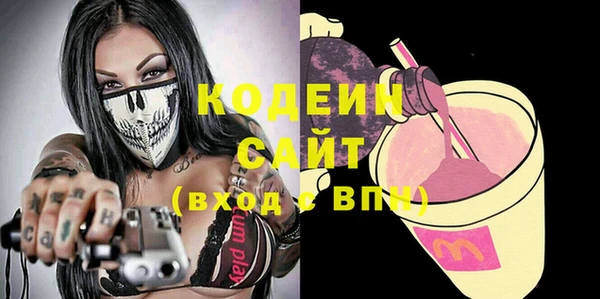 индика Гусев
